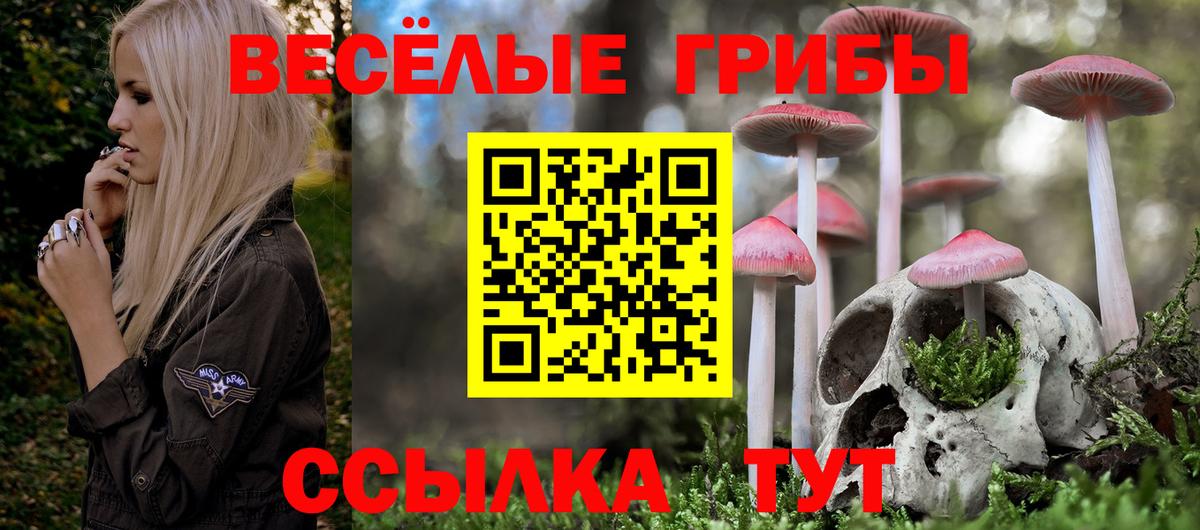 Псилоцибиновые грибы Magic Shrooms Киров