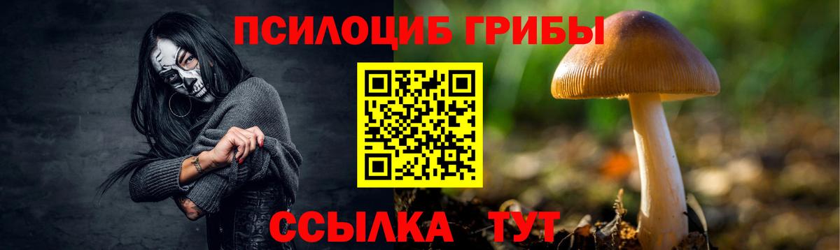 Псилоцибиновые грибы Magic Shrooms  Галлюциногенные грибы прущие грибы  Киров  Вход с VPN 